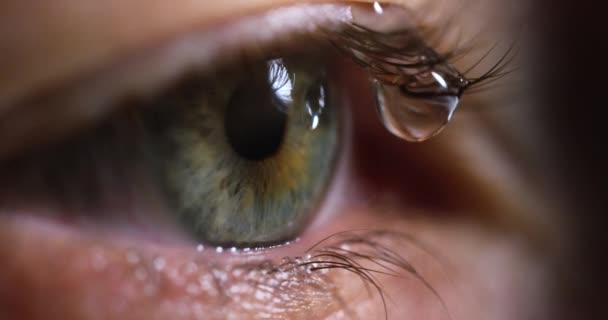 Extreme close up of female human eye blinking. Water drop on an eyelash. — Stock Video