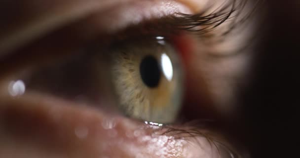 Extreme close up of female human eye blinking. — Stock Video