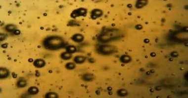 Hava kabarcıkları sarı bir sıvının içinde yükseliyor. Yavaş çekim, yakın çekim..