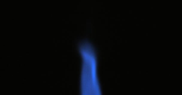 Fiamma di gas isolata su fondo nero. Colpo di fuoco blu sulla fotocamera RED. — Video Stock