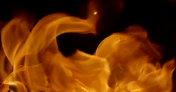 Vuur vlam in slow motion. Geïsoleerd op zwarte achtergrond met alfa kanaal. Neergeschoten op de ROOD camera. — Stockvideo