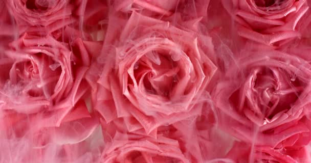 Rosas flotando en el agua con la extracción de pintura de tinta blanca. Filmado con cámara RED. — Vídeos de Stock