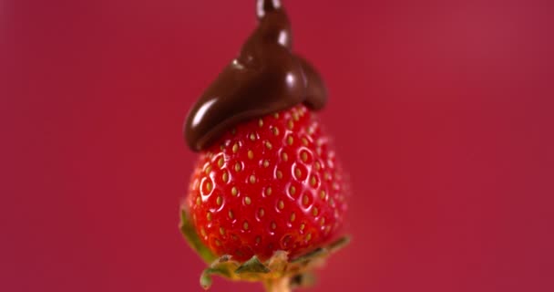 Gesmolten chocoladesaus giet er verse aardbeien in. Langzame beweging. close-up opname gefilmd met RED camera. — Stockvideo