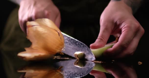 Küchenchef männliche Hände schneiden weiße Zwiebel in der Küche auf einer schwarzen Spiegeloberfläche. Nahaufnahme aufgenommen auf ROTER Kamera. — Stockvideo