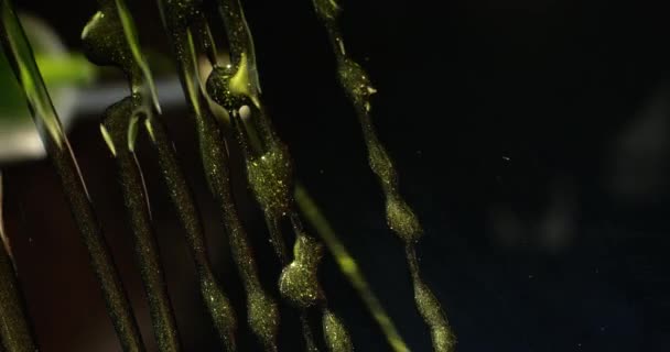 Olive oil mixed with herbs pouring on a transparent surface over camera. Shot in slow motion with RED camera. — Stock Video