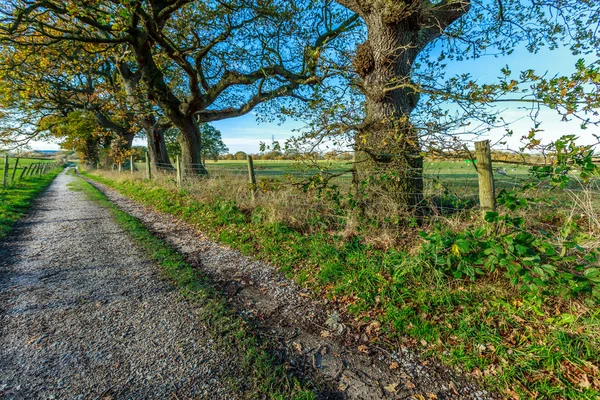 Country View in Egland — Stock Photo, Image