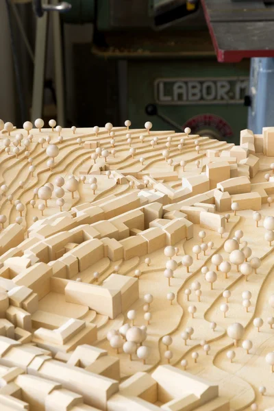 Urbanistic ahşap model