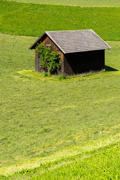 Yeşil bir çayırda döken aracı