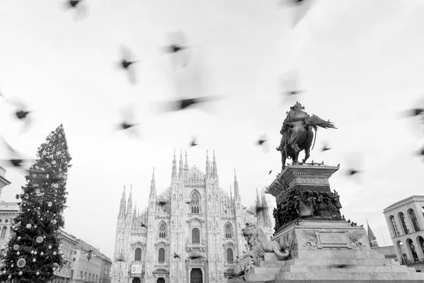 Milan Cathedral_Duomo di Milano — Stock fotografie