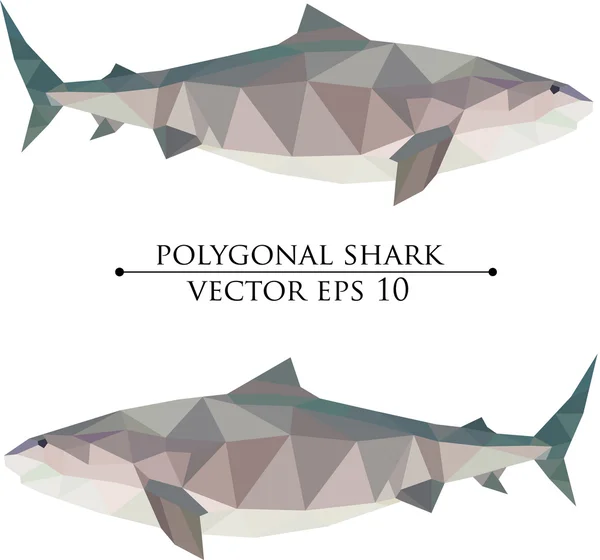 Polygonal geometric low poly vector big shark vector illustration, web design, sight page, advertisement, commercial, poster, print, banner element — Stock Vector