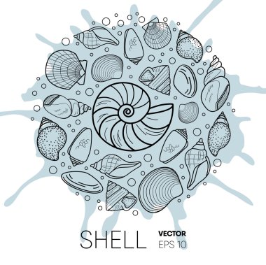 deniz kabuğu vektör illüstrasyon kavram seti. Web tasarım, görüş sayfası, reklam, dergi, poster, afiş, su sıçramaarka baskı dekorasyon elemanı