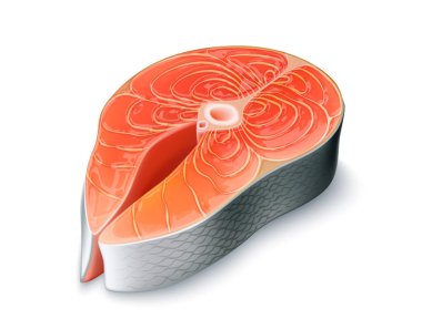 Vektör gerçekçi somon bifteği çiğ deniz ürünleri dilimi