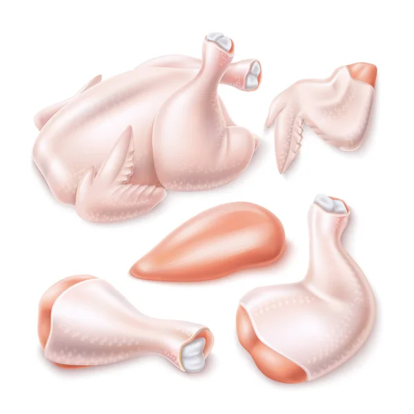 供菜谱设计用的向量3D生鸡肉 — 图库矢量图片