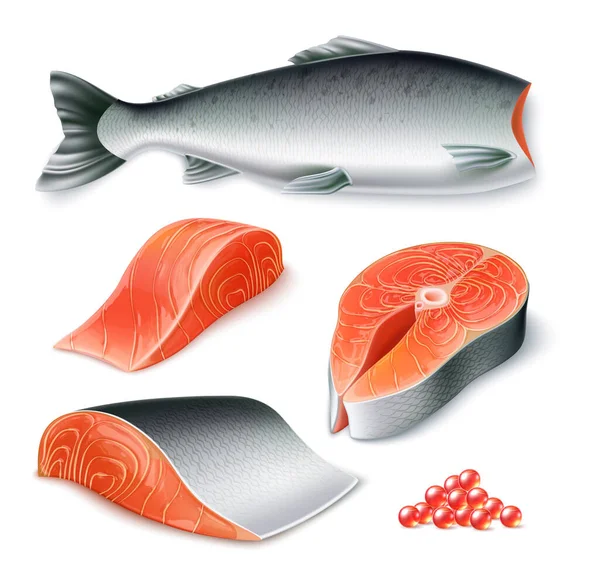 Vektör gerçekçi somon balığı kafası kesilmiş restoran — Stok Vektör