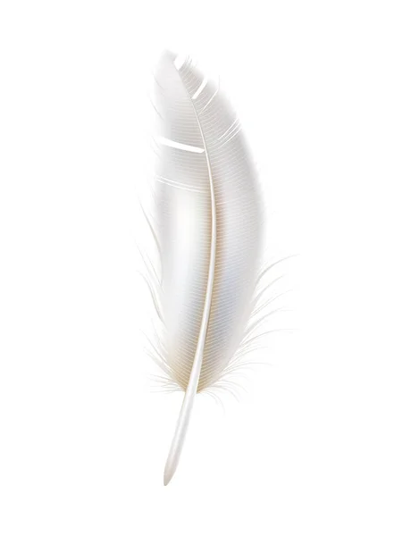 Vector realistic peacock peafowl white feather 3d — стоковый вектор