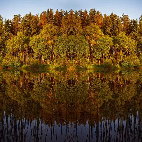 Yellow River. Belarus — Stock Photo, Image