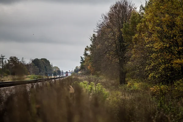 Chemin de fer dans la région de Vitebsk. Bélarus — Photo