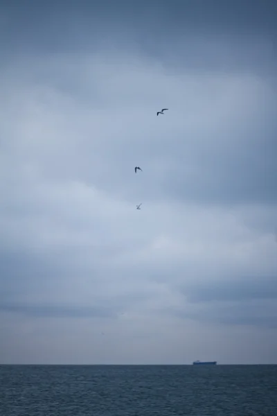 De kust van de Zwarte Zee met de golven — Stockfoto