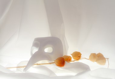 Natürmort bir maske ve cape bektaşi üzümü