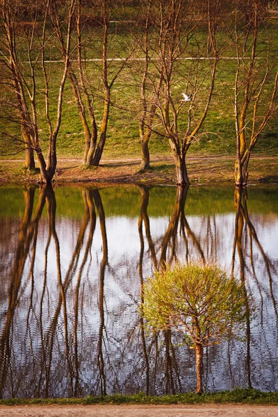 Blick auf den Teich des Parks in Minsk — Stockfoto