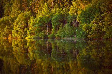 Yaz ağaçlar suya yansıyan