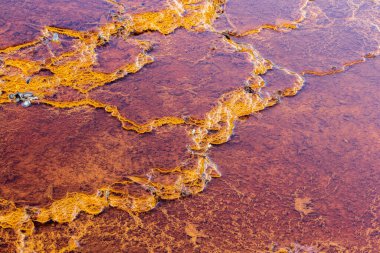 Stromatolitler, Rio Tinto nehri, Endülüs İspanya. Soyut şablon. soyut doku - soyut arkaplan - soyut tasarım.