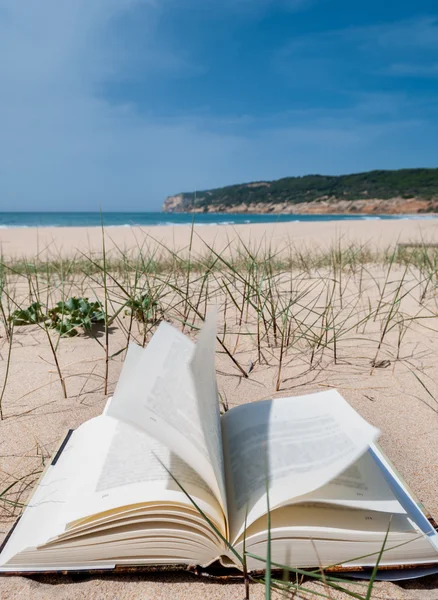 Ders kitabı açık beyaz kum plaj
