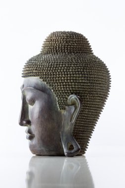Buda baş beyaz bir arka plan üzerinde