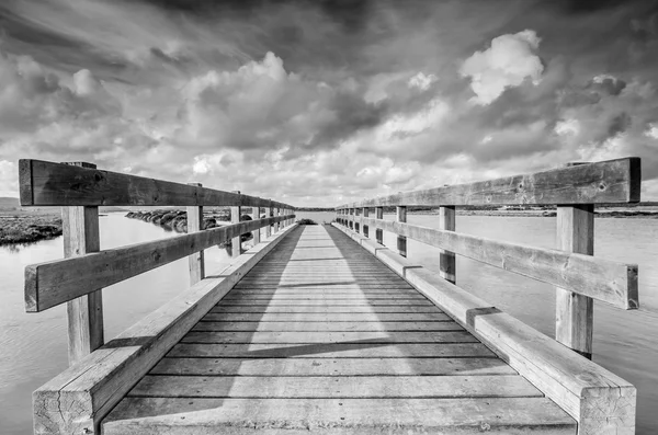 Ponte di legno nelle paludi — Foto Stock