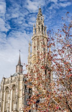 Antwerp Katedrali, Belçika