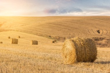 Straw bales at sunset clipart
