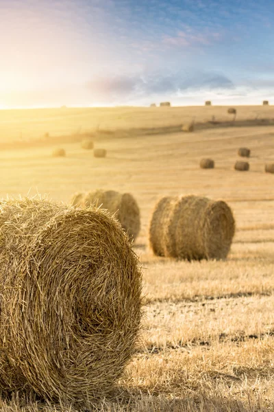 Balíky slámy při západu slunce — Stock fotografie