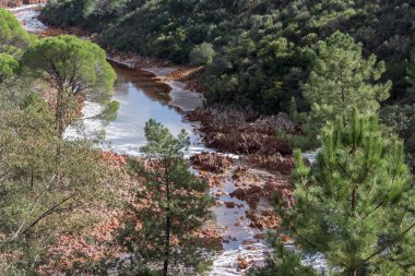 Nehir yatağı Tinto, Huelva, Endülüs, İspanya.