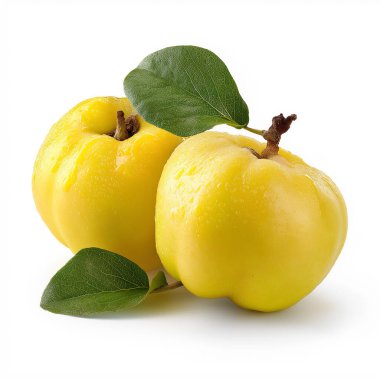 İki olgun ayva meyvesi yeşil yapraklarla gösteriliyor, aşçılık ve sağlıkla ilgili projeler için mükemmel.