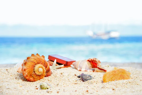 Various beautifull seashells starfish and chest against the tropical blue sea