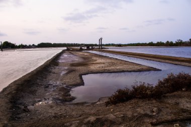 Tayland deniz tuzu için su tuz üretimi alanında