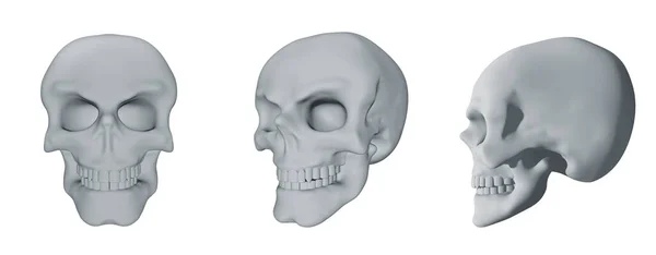 Ensemble Crânes Humains Isolés Sur Fond Blanc Profil Visage Complet — Photo
