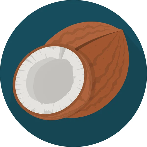 Art Fruit kokosnoot — Stockvector