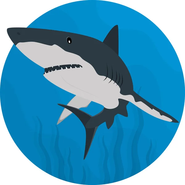 Art Requin plat — Image vectorielle