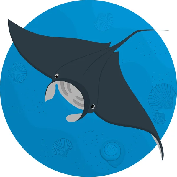 Sanat düz Stingray