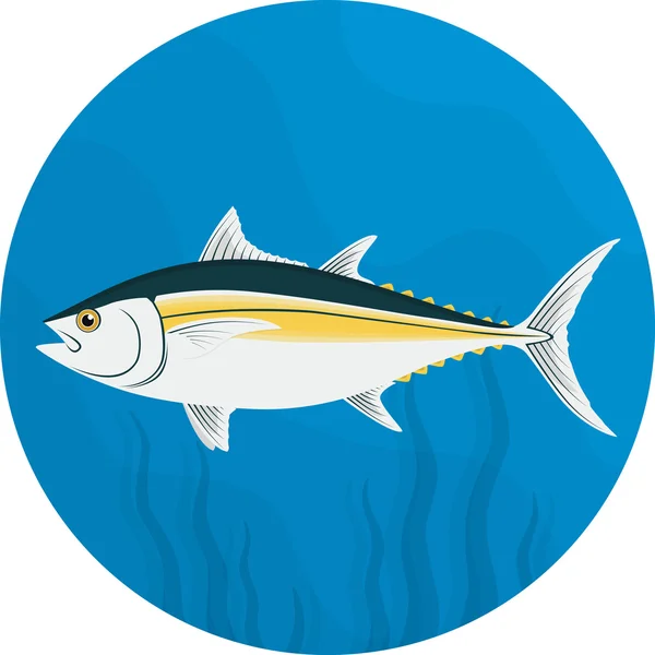 Art plat thon poisson — Image vectorielle