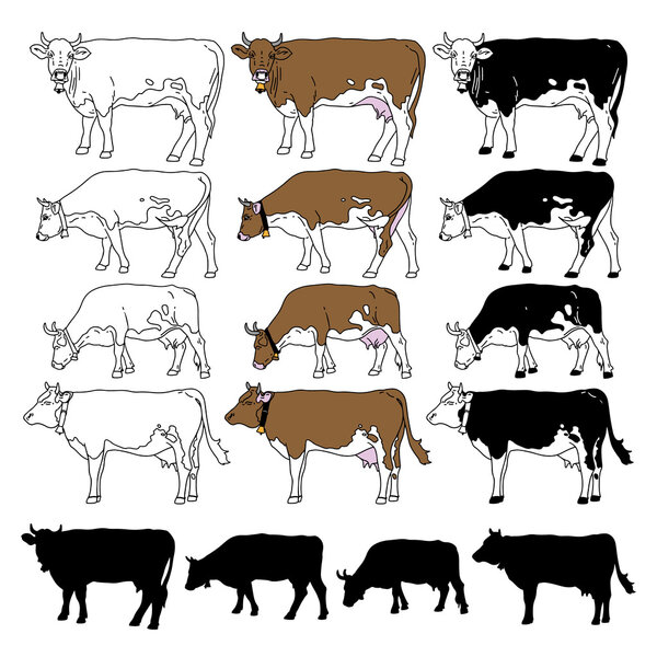 Vector cow set. Silhouette collection