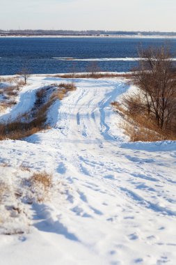 Ormanda karlı bir yol