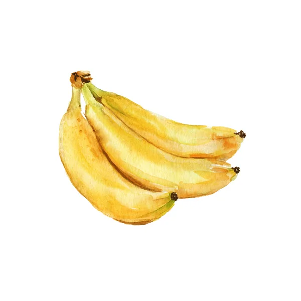 Drie bananen. geïsoleerd. Aquarel — Stockfoto