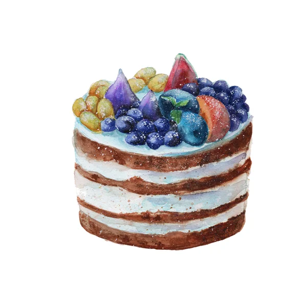 Gâteau dans un style rustique aux fruits. isolé. aquarelle — Photo