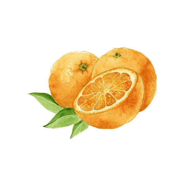 Tři pomeranče. izolovaný. Akvarel — Stock fotografie