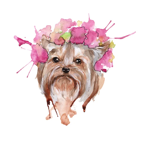 Dog illustration. Yorkie. isolated. watercolor — Stock Photo, Image