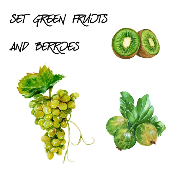 Yeşil üzüm, kivi ve bektaşi üzümü ile ayarlayın. izole. suluboya — Stok fotoğraf