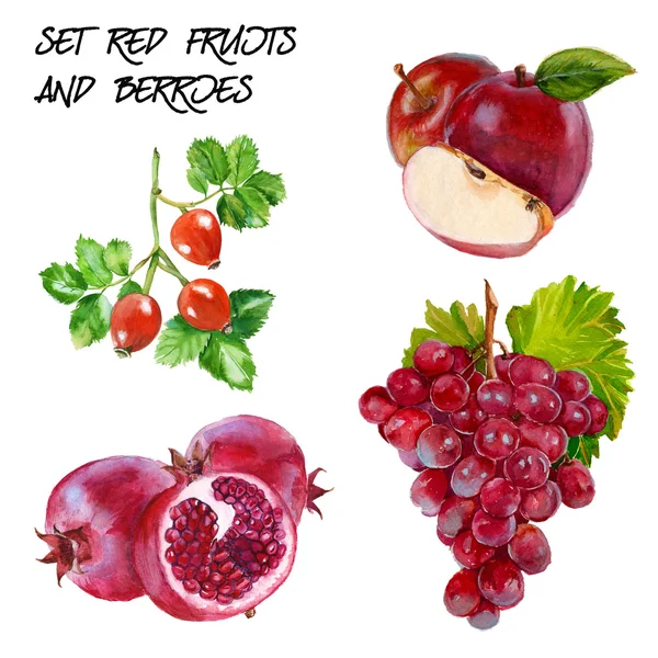 Набір з червоним виноградом, червоним яблуком, шипшиною та гілкою граната . — стокове фото