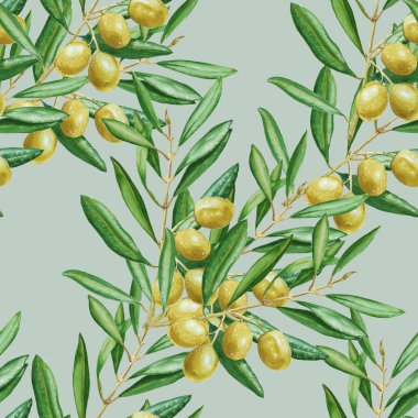 Arka plan zeytin dalı. seamless modeli. Sulu Boya illustrati